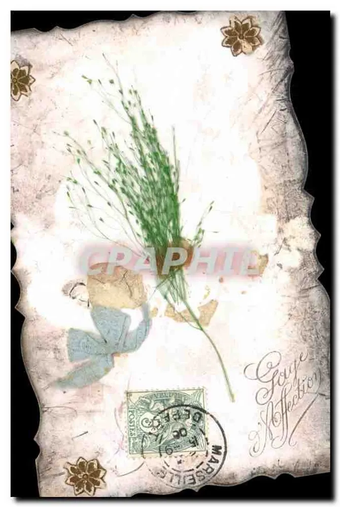Buquê de planta seca — Carta postal de Marselha — Editor: Groupe Collection - Frente
