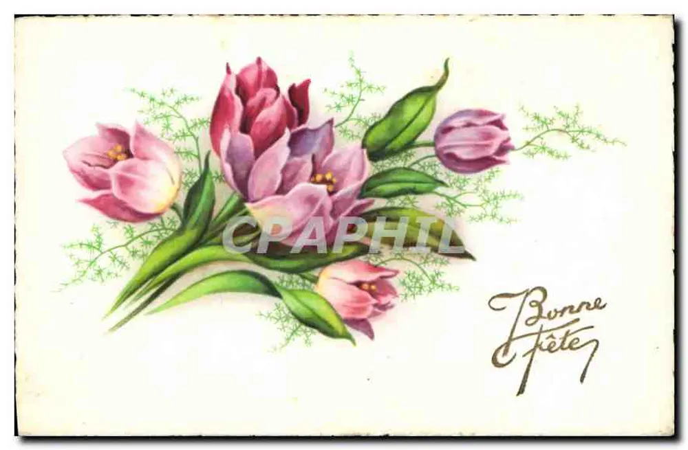 Tulpen — feestkaart — Serie 2.300, M. D. Paris - Voorkant