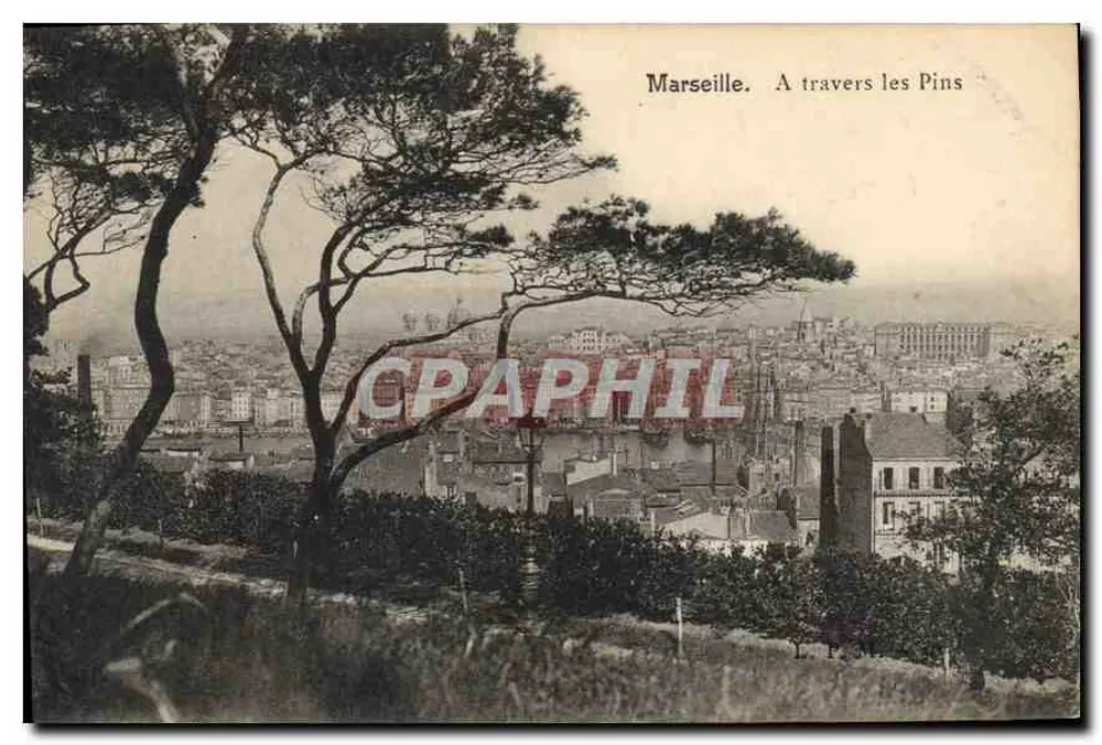 Marselha. Através dos Pinheiros — vista panorâmica dos pinheiros — editor não visível - Frente