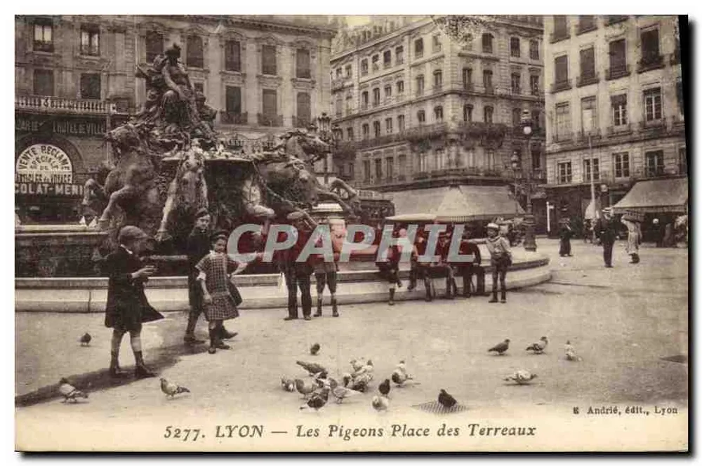 LYON — Tauben Place des Terreaux — B. Andréié, Verlag, Lyon - Vorderseite