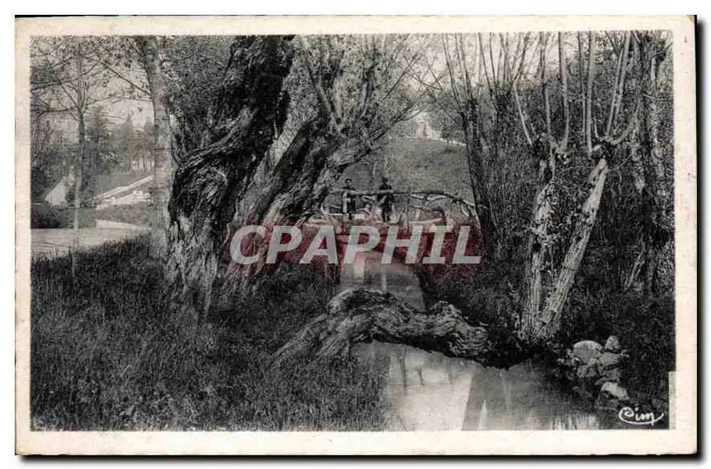 Parque Jouvet — Valence (Drôme) — editor Cing - Frente