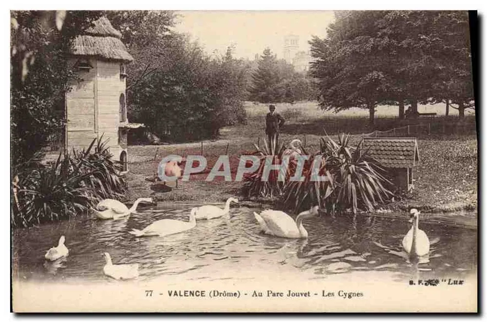 Valence (Drôme) - Im Parc Jouvet - Die Schwäne — B. F. Lur, Nr. 77 - Vorderseite