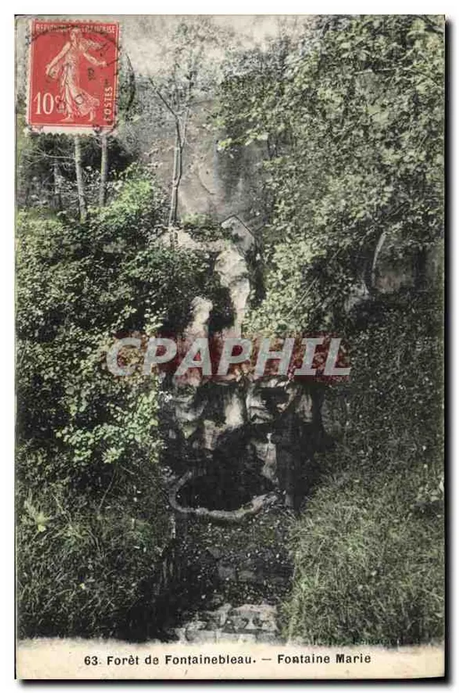 Forêt de Fontainebleau — Fontaine Marie — Éditeur : Phototypie de Fontainebleau, n° 63 - Recto