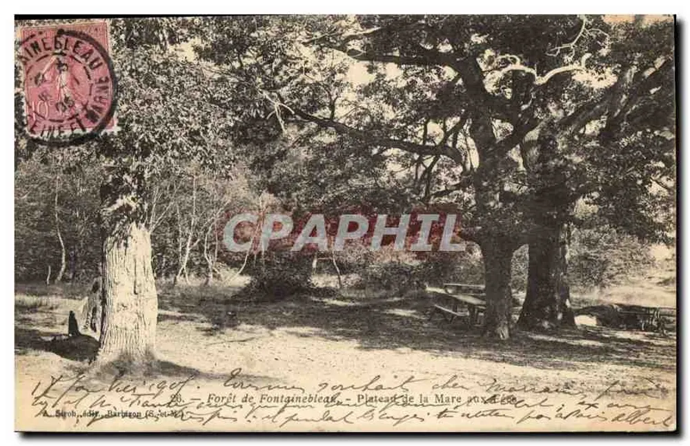 Floresta de Fontainebleau - Plateau da Mare aux Dées — editor impressor não identificado, número de série não visível - Frente