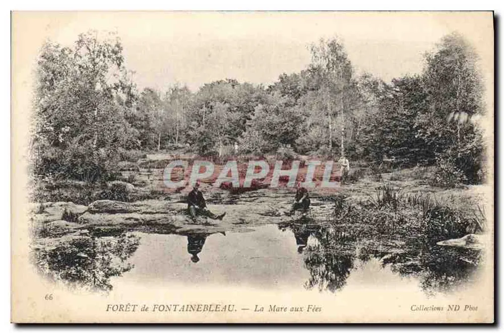 Forêt de Fontainebleau — La Mare aux Fées — Collections ND Photo - Vorderseite