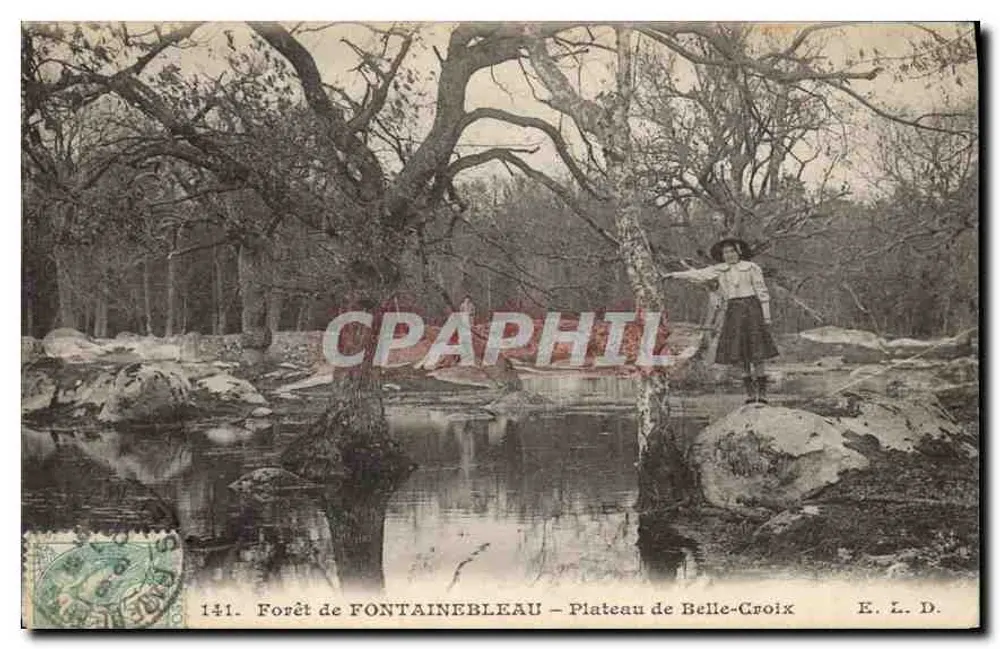 Wald von FONTAINEBLEAU – Plateau de Belle-Croix — E. L. D. n°141 - Vorderseite