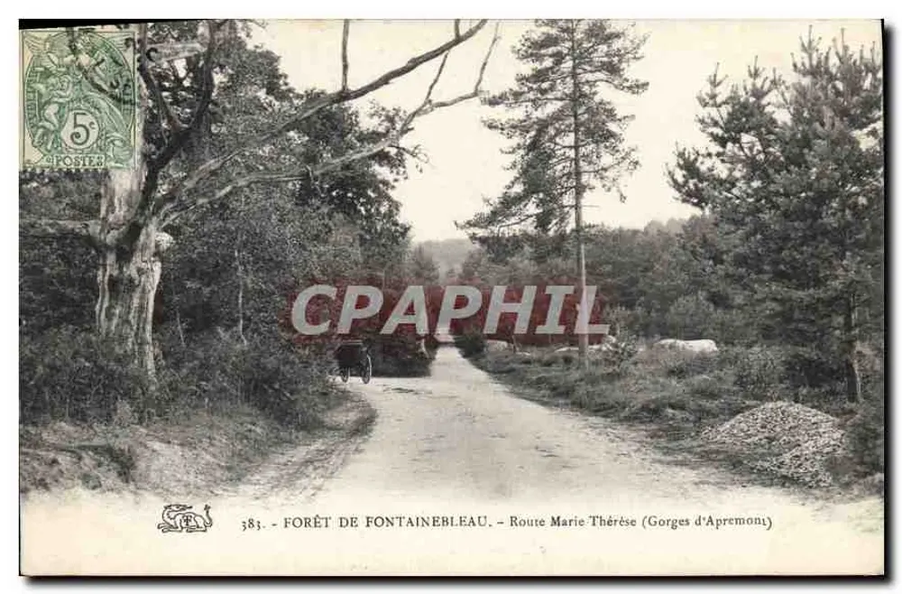 Wald von Fontainebleau — Straße Marie-Thérèse (Gorges d'Apremont) — unbekannter Verleger, Nr. 383 - Vorderseite