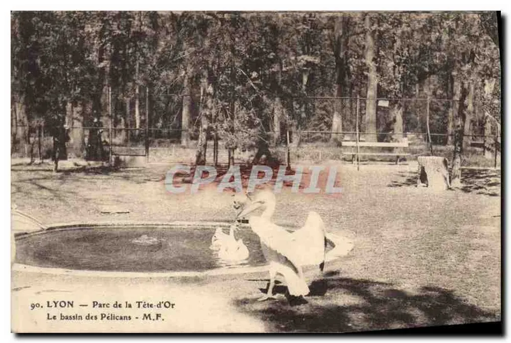 LYON — Parc de la Tête-d'Or — Der Pelikan-See — M.F. Nr. 90 - Vorderseite