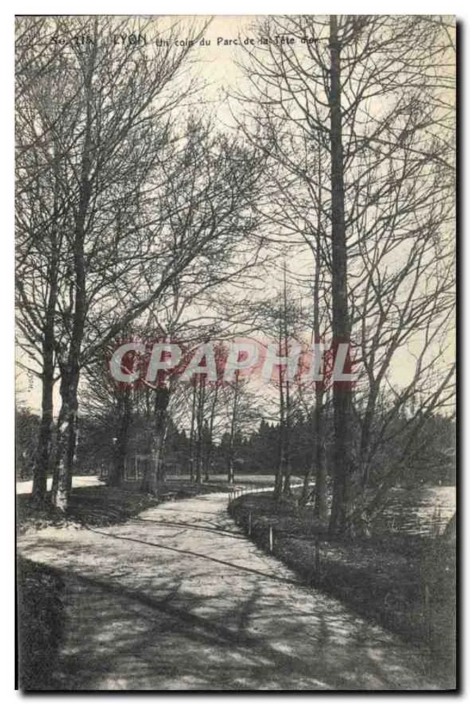 LYON — Ein Eckbereich des Parc de la Tête d'Or — Nr. 118 - Vorderseite