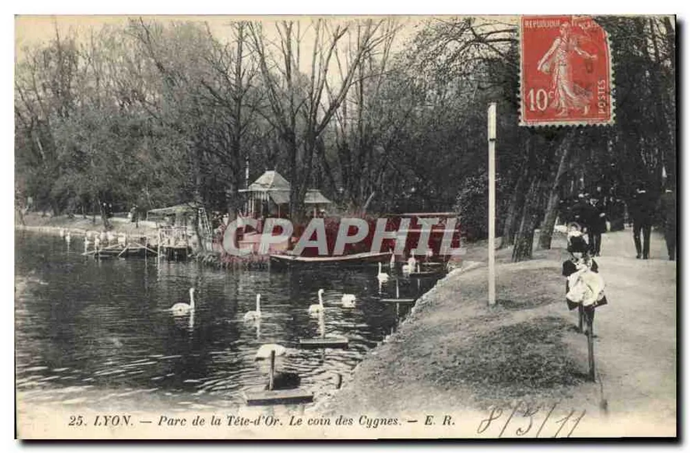 LYON — Parc de la Tête-d'Or. Le coin des Cygnes — E. R. - Vorderseite