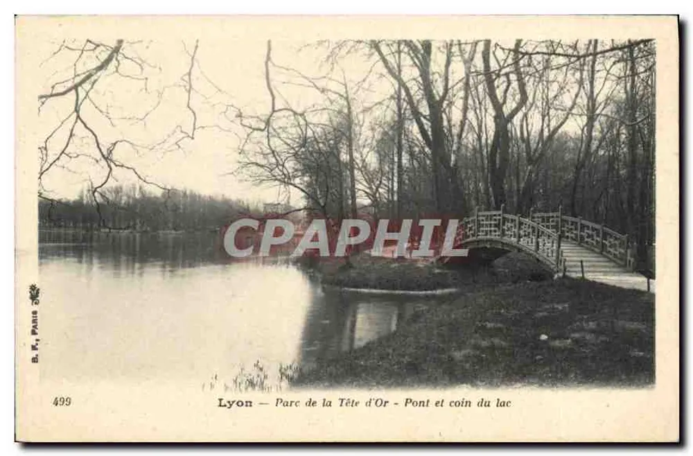 Lyon — Park des Goldenen Hauptes — Brücke und Ecke des Sees — B. K., Paris, n° 499 - Vorderseite