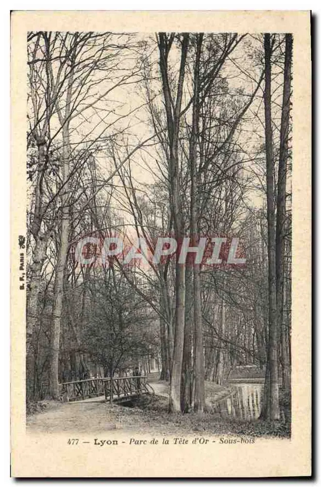 Lyon - Parc de la Tête d'Or - Unterholz - Vorderseite