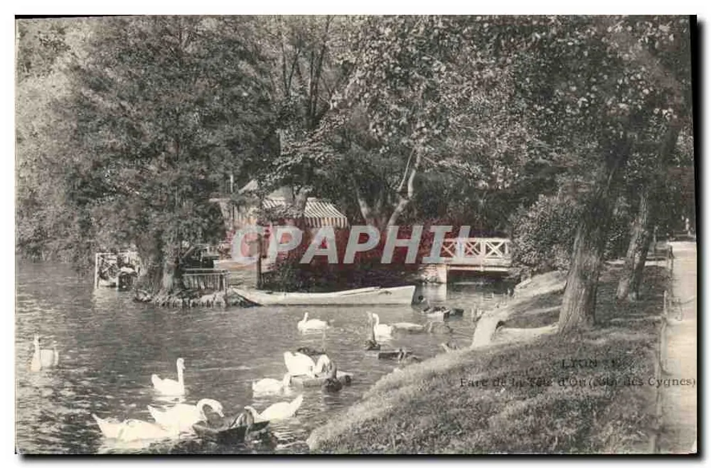 Lyon — Fare de la Tête d'Or (Jardin des Cygnes) — Verlag: Graphil - Vorderseite