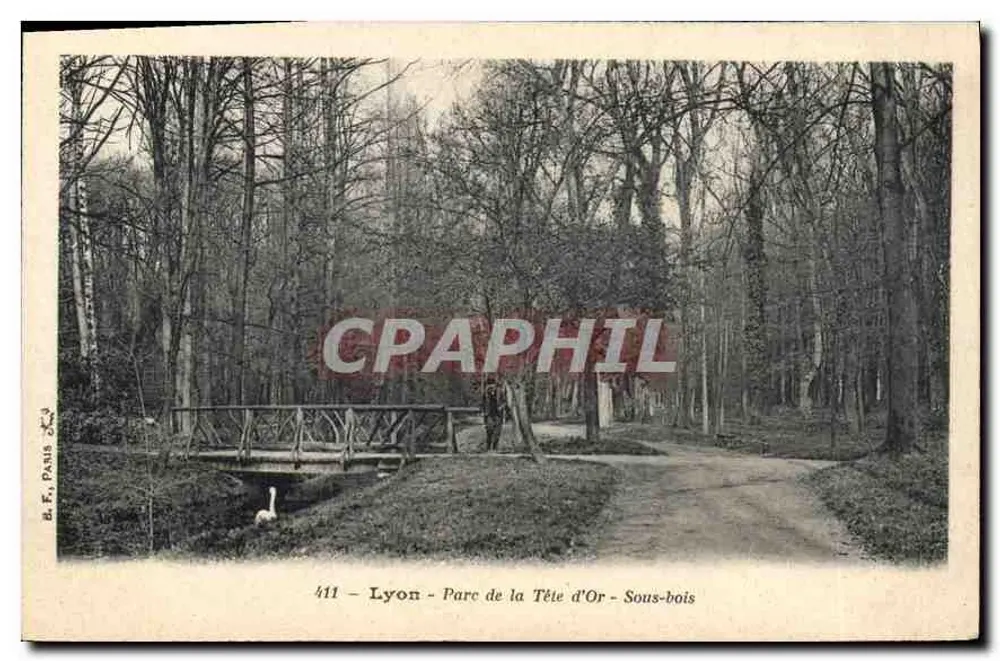 Lyon - Parc de la Tête d'Or - Unterholz — B.F., Paris, n°411 - Vorderseite
