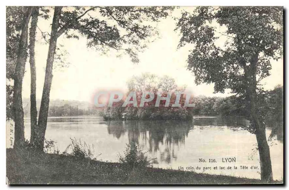 Ein Stück des Parks und des Sees von La Tête d'or — Lyon — Nr. 116 - Vorderseite