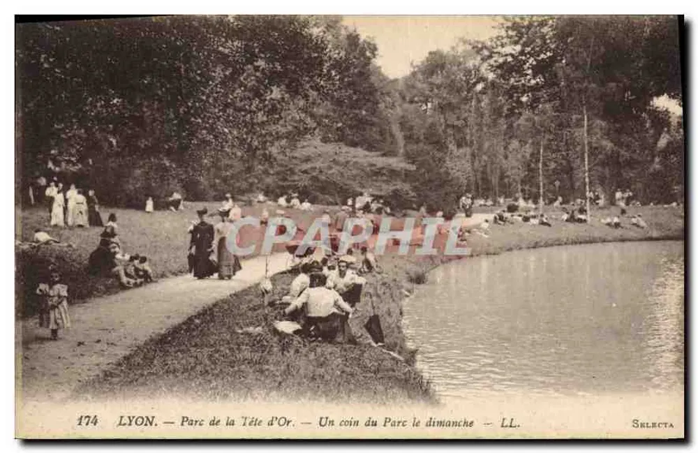 LYON. — Park der Goldenen Kopf. — Ein Eck des Parks am Sonntag — Selecta, n° 174 - Vorderseite