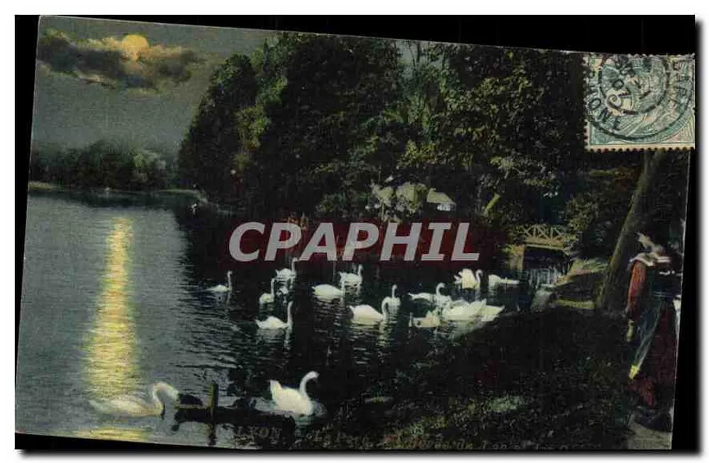 Lago de Tonnerre — Vista nocturna con cisnes — Editor Lyon, número de serie no legible - Anverso