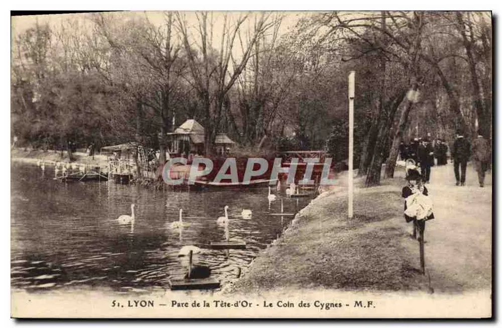 Lyon - Parc de la Tête-d'Or - Der Schwanenbereich - M.F. - Vorderseite
