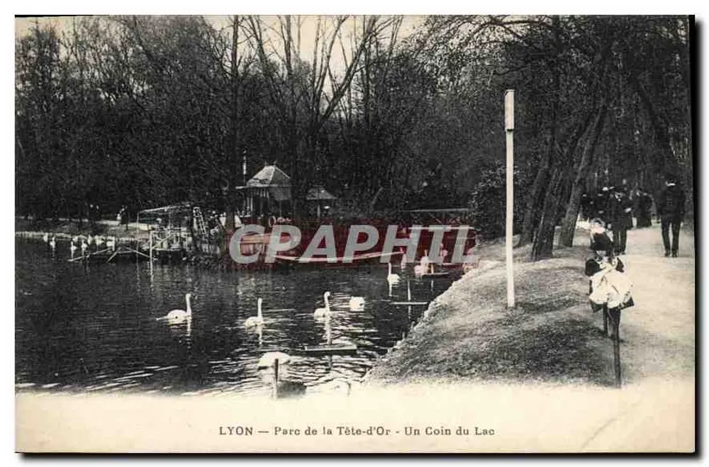 LYON — Parc de la Tête-d'Or — Ein Eck des Sees - Vorderseite