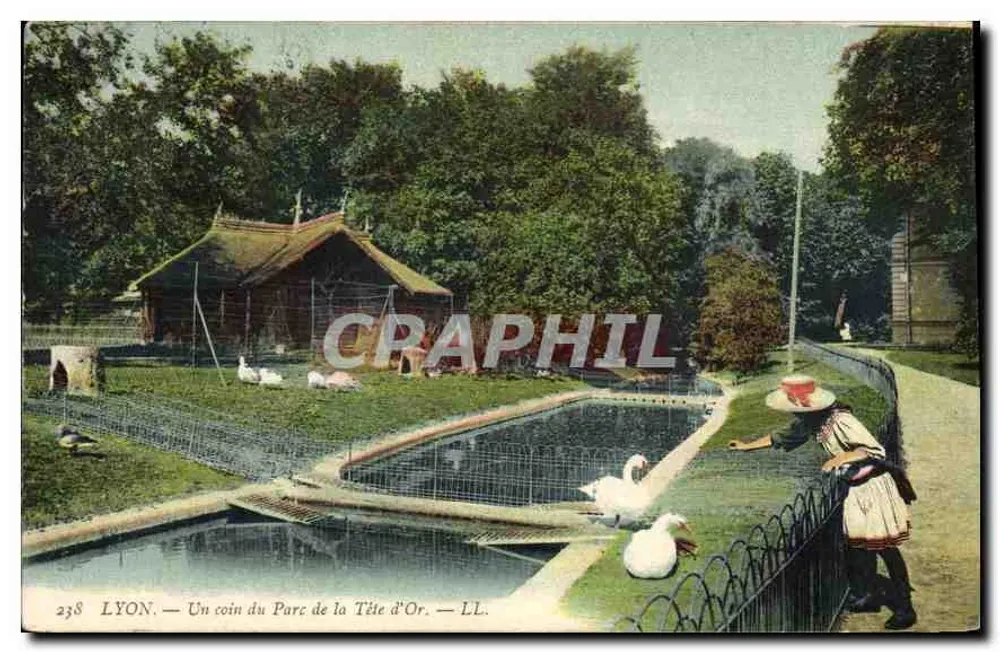 LYON — Ein Eckbereich des Parc de la Tête d'Or — LL. n° 238 - Vorderseite