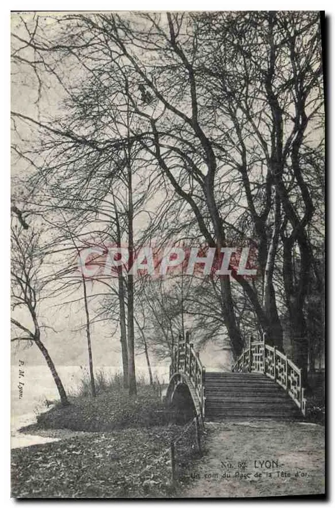 Lyon — Ein Eckbereich des Parc de la Tête d'Or — P. M. Lyon, Nr. 82 - Vorderseite