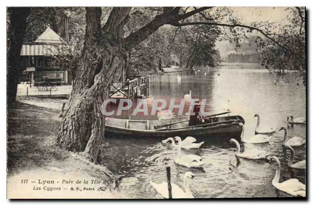 Lyon - Parc de la Tête d'Or - Die Schwäne — B. F., Paris, n° 117 - Vorderseite