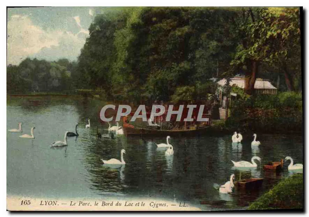 LYON — Der Park, der Uferbereich des Sees und die Schwäne — LL, n° 165 - Vorderseite