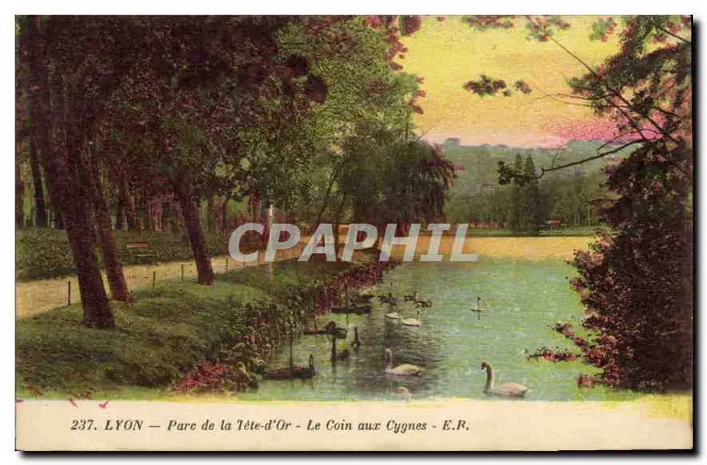 LYON — Park der Tête-d'Or — Der Schwanenwinkel — E.R. Nr. 237 - Vorderseite