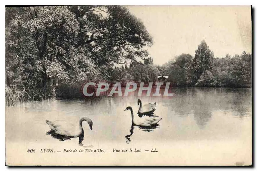 LYON — Parc de la Tête d'Or — Blick auf den See — LL. — N° 403 - Vorderseite