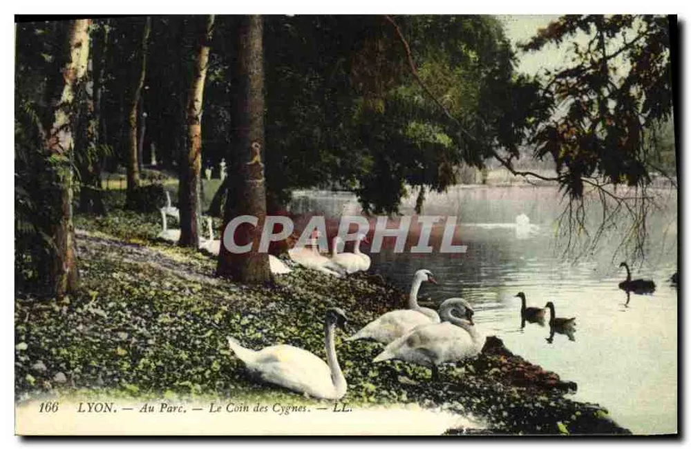 LYON — Im Park — Der Schwanenwinkel — LL. — N° 166 - Vorderseite