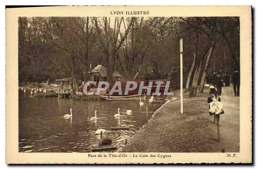 Parc de la Tête-d'Or - Le Coin des Cygnes — Lyon Illustré, Verleger M.P. - Vorderseite
