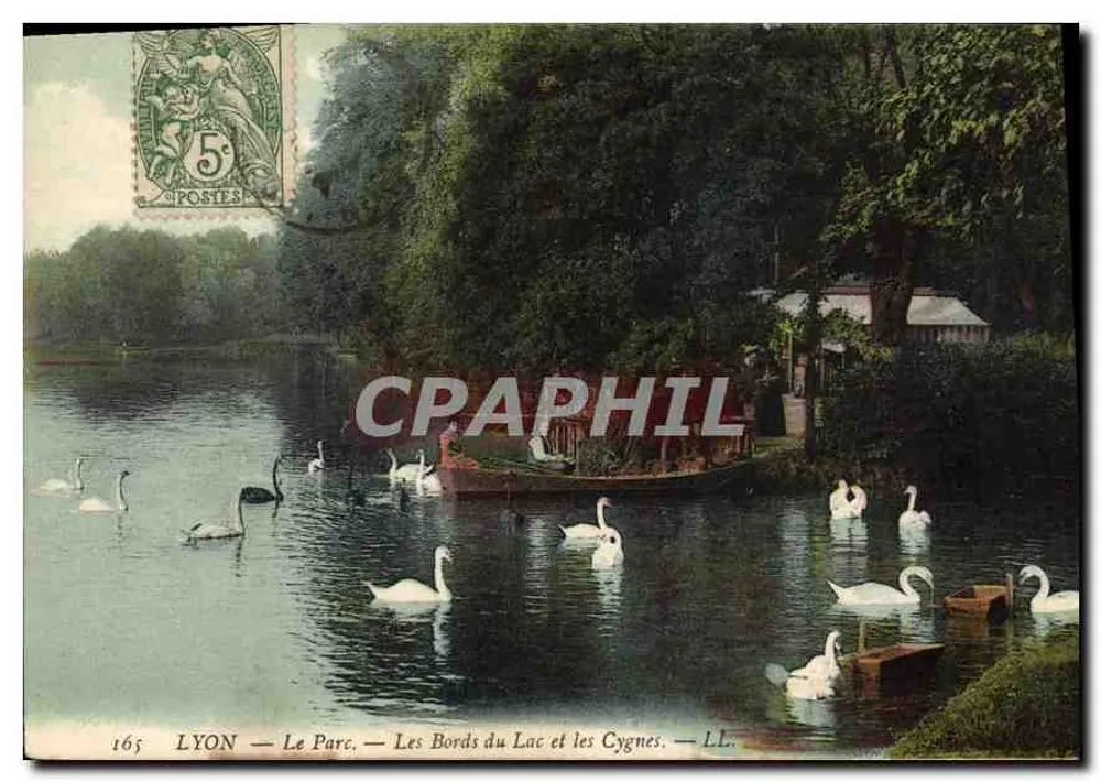 LYON — Der Park — Die Ufer des Sees und die Schwäne — LL. - Vorderseite