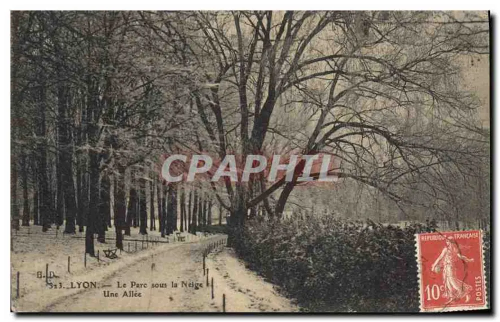 LYON — Der Park im Schnee — Ein Weg — B.D. n° 323 - Vorderseite