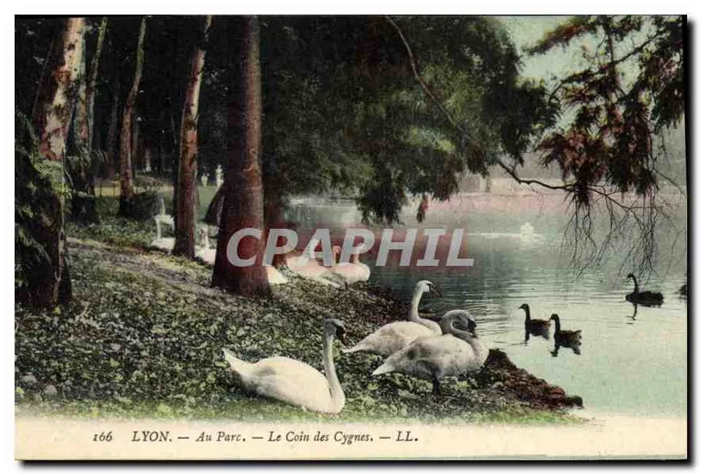 LYON — Am Park — Der Schwanenwinkel — LL. — n° 166 - Vorderseite