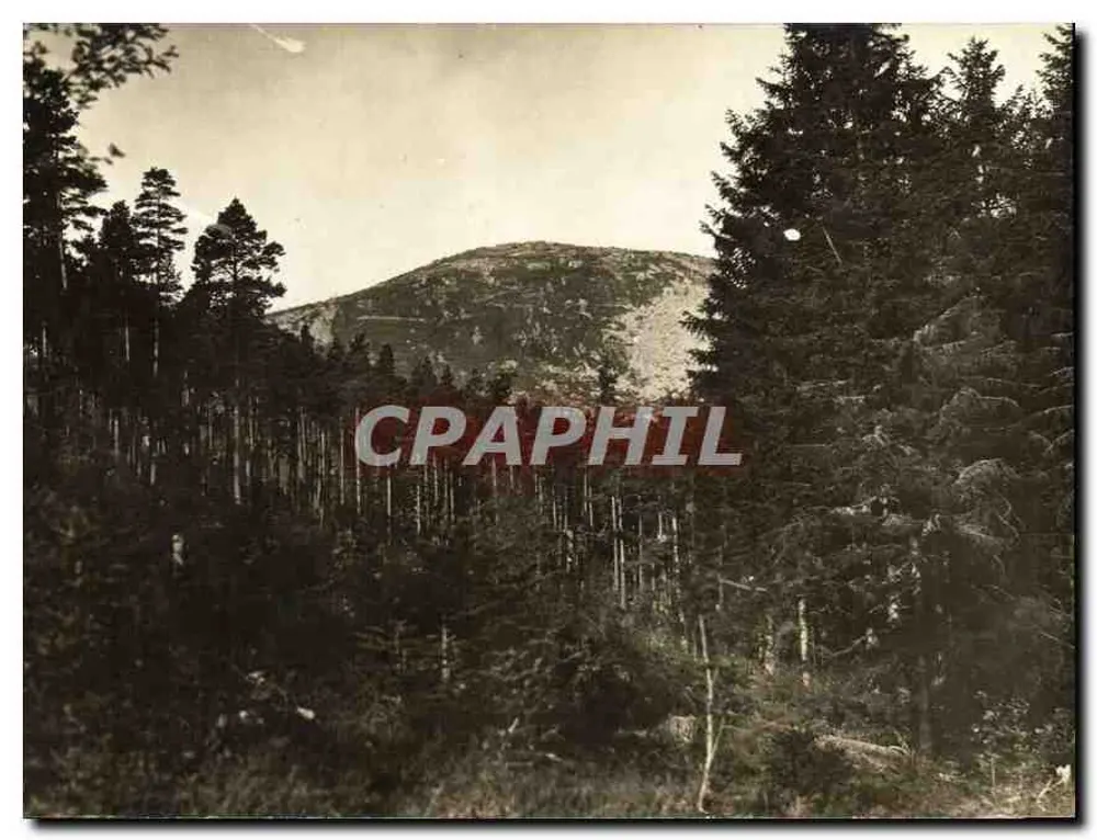 Vista de montanha na floresta — Alsácia — Salon photographique FR. KEMPF - Frente