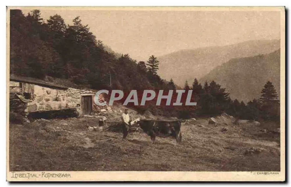 लीबेल्टाल-रोथेनबर्ग — पर्वतीय दृश्य जिसमें एक चरागाह वाला आदमी और गाय हैं — यू. एन्ह्रिसमैन - आगे