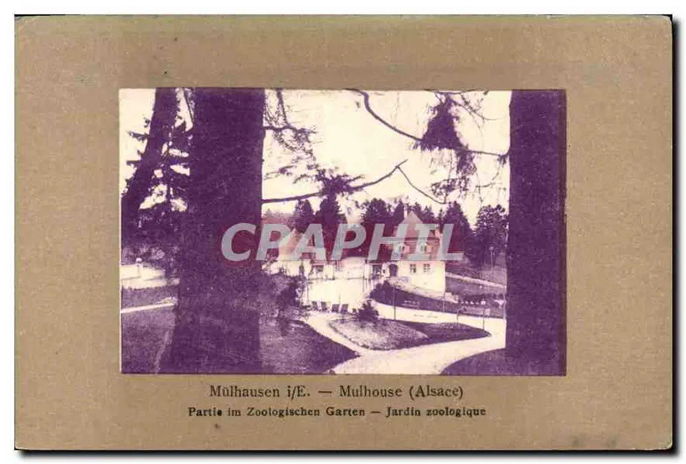 Mulhouse (Elsass) — Teil des Zoologischen Gartens — Verlag nicht sichtbar - Vorderseite