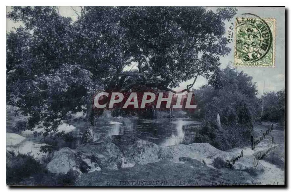 Fontainebleau — Visão do lago da Île — Editor: C. P. T. (n° 11) - Frente