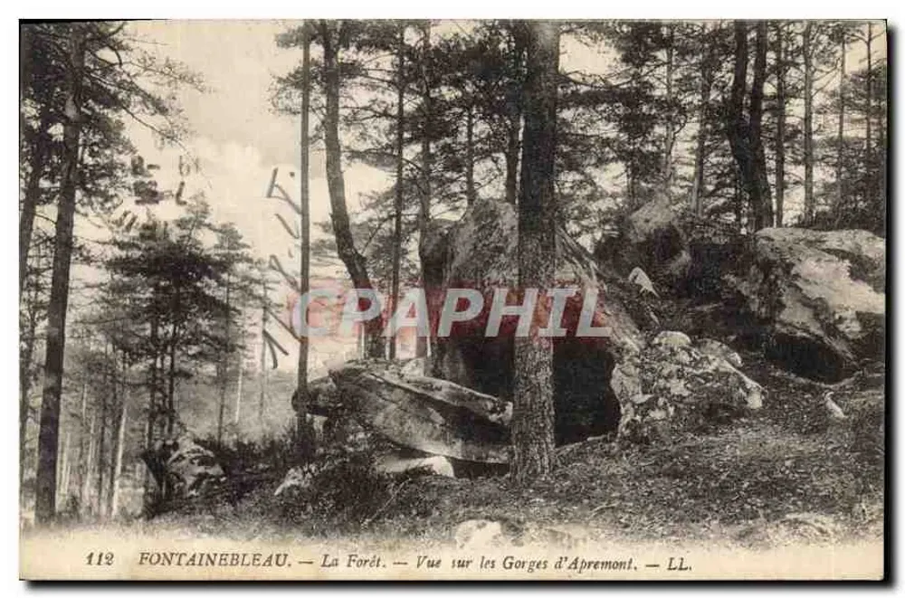 Fontainebleau — Die Forêt — Ansicht der Schlucht von Apremont — LL. — N° 112 - Vorderseite