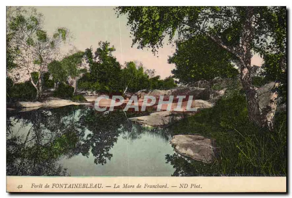 WALD VON FONTAINEBLEAU — Teich von FRANCBARD — ND Pbol. - Vorderseite