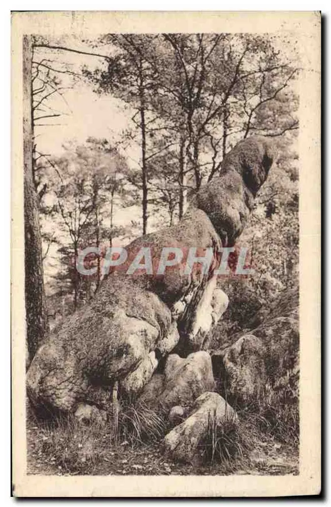 Floresta de Fontainebleau — A Senhora de Apemont — Edição Vincent - Frente