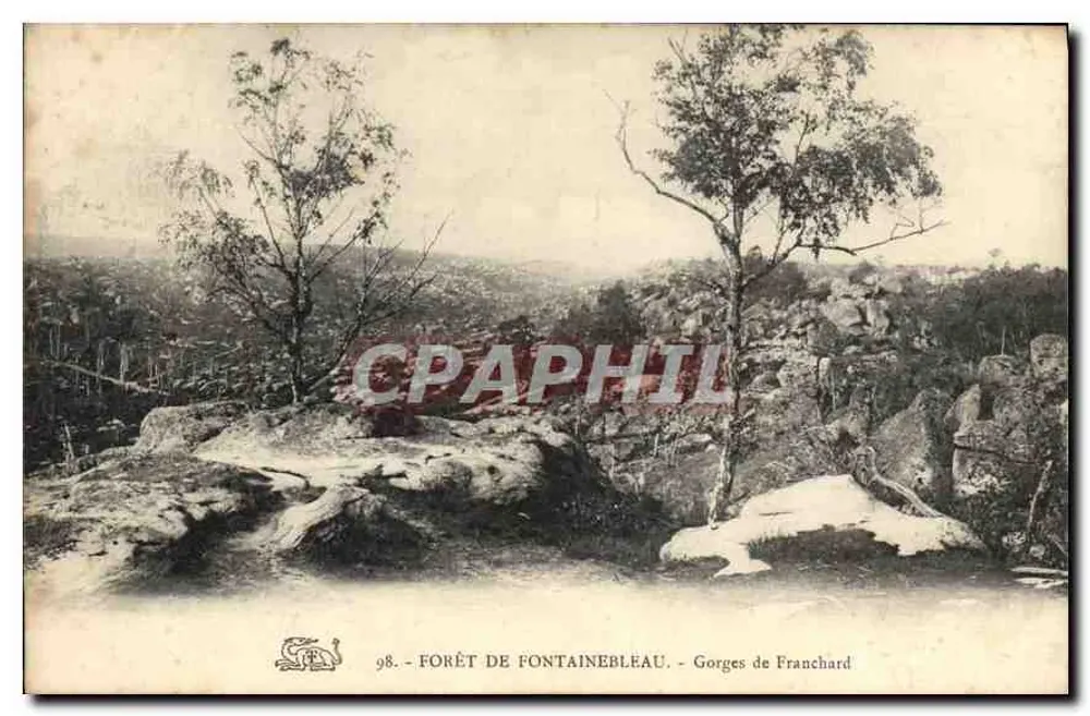 Wald von Fontainebleau — Schluchten von Franchard — n°98 - Vorderseite