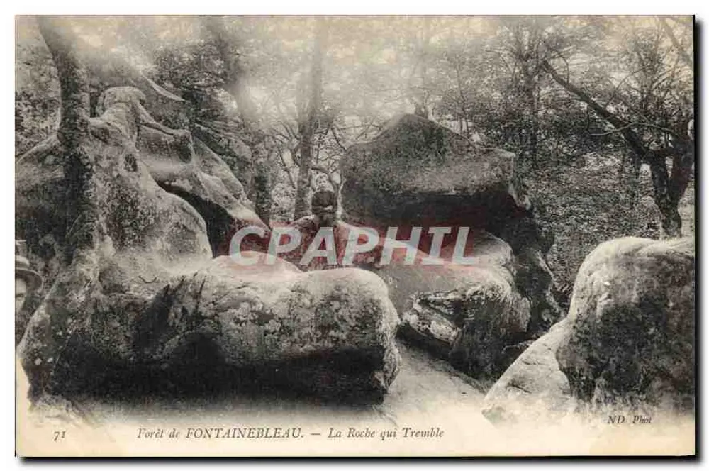 Wald von FONTAINEBLEAU — La Roche qui Tremble — ND Fotografie - Vorderseite