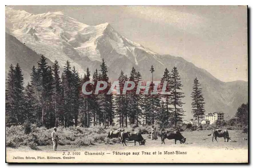 Chamonix — Pâturage aux Praz et le Mont-Blanc — Jullien frères, Phot. Editeurs, Genève, n° 6992 - Recto