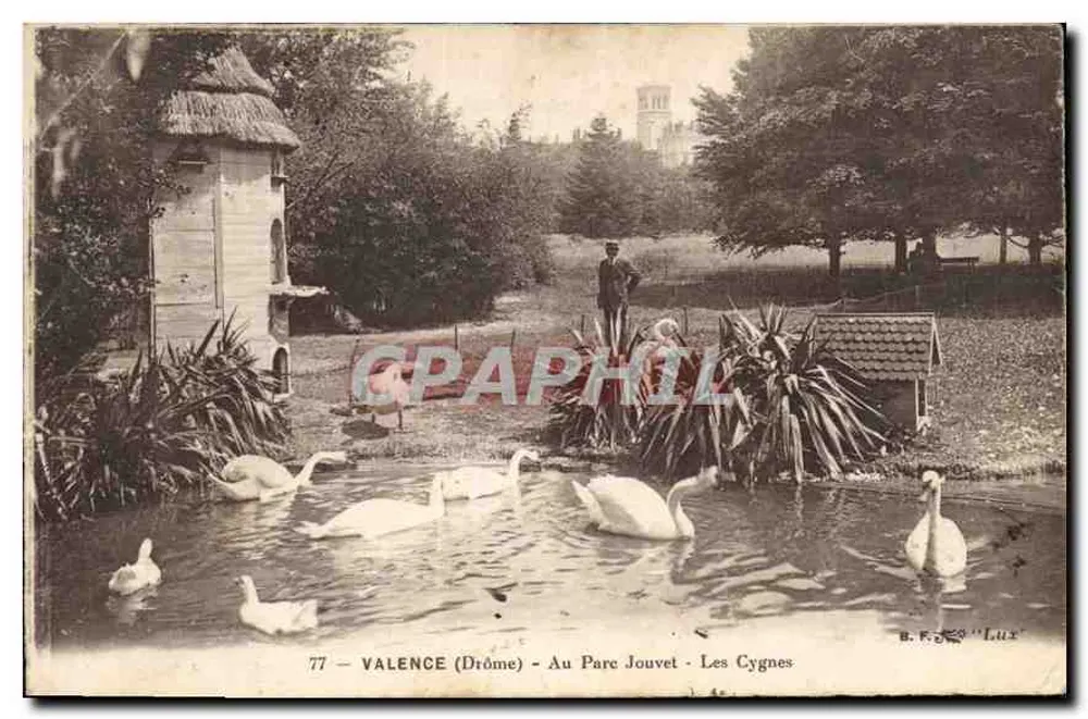 Valence (Drôme) — Im Jouvet Park — Die Schwäne — B. F. & C. 'Lux' n°77 - Vorderseite