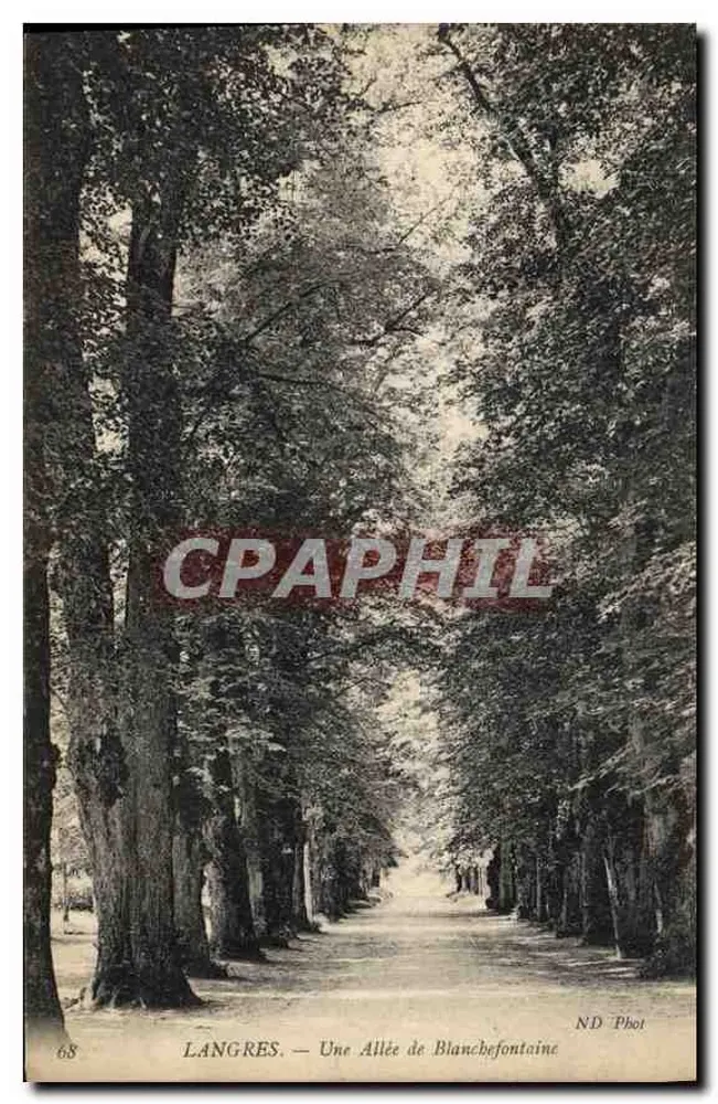 Langres — Uma Avenida de Blanchefontaine — ND Phot, n°68 - Frente
