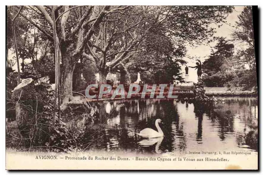 Avignon — Passeio do Rocher des Doms — Lago dos Cisnes e a Vênus das Andorinhas — Librairie Dubourg, 4, Rue République - Frente