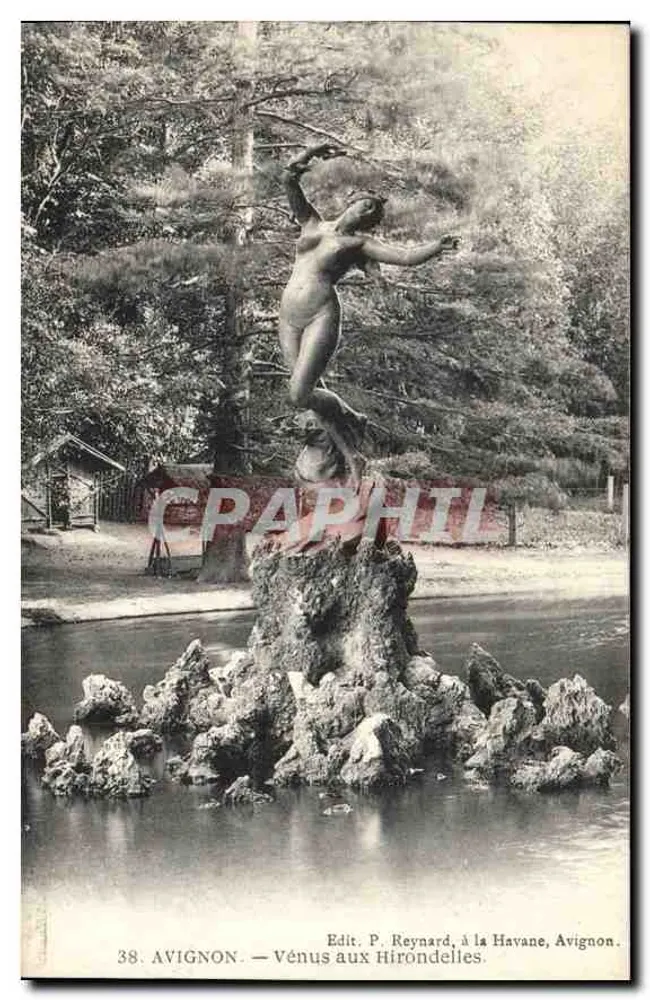 Avignon — Vênus das Andorinhas — Edit. P. Reynard, à la Havane, Avignon - Frente