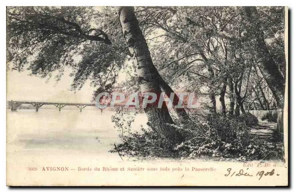 Avignon — Ufer des Rhône und Schattiger Weg nahe der Brücke — Edit. E. Bois Nr. 3020 - Vorderseite
