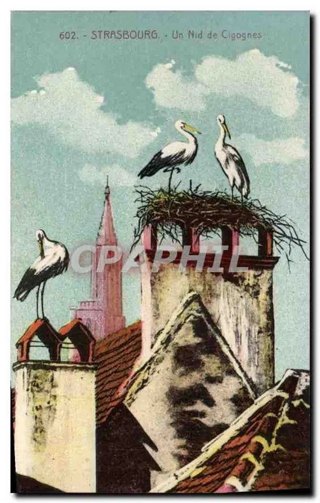 Strasbourg - A Stork's Nest — n° 602 - Front